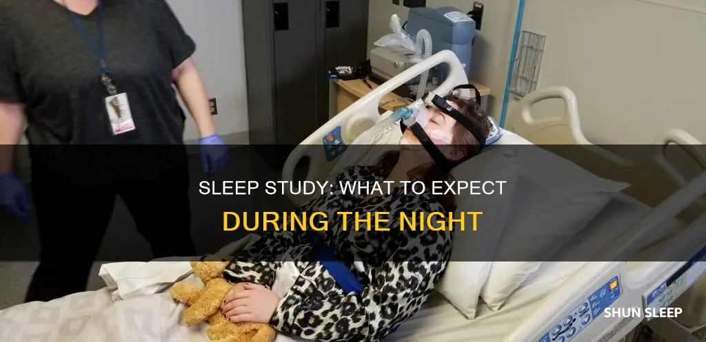 what takes place during a sleep study
