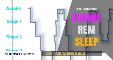 REM Sleep: Brain Activity and Dreaming