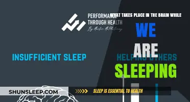 Brain Activity During Sleep: Unraveling the Mystery