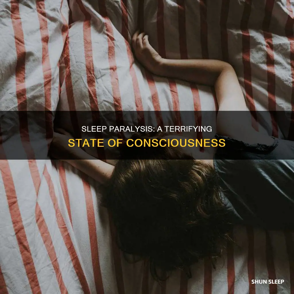 what takes place when you have sleep paralysis