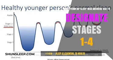 Sleep Stages: Understanding the Basics