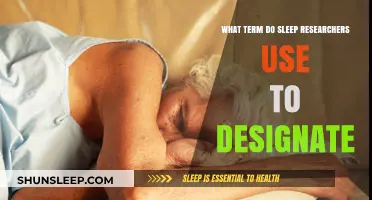 Sleep Researchers: What's the Term for Sleep Patterns?