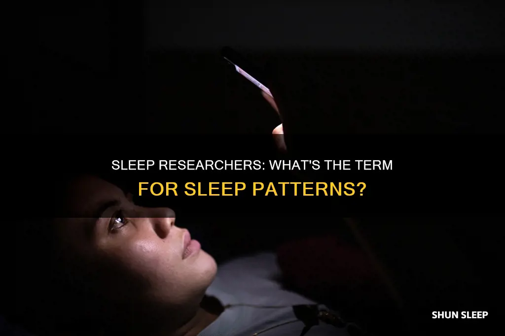 what term do sleep researchers use to designate