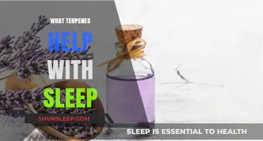 Terpenes for Better Sleep: Natural Compounds to Enhance Rest