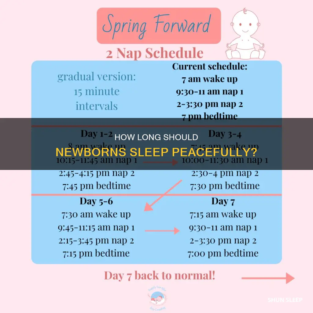 what the longest i should let my newborn sleep