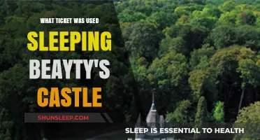 How to Enter Sleeping Beauty's Castle