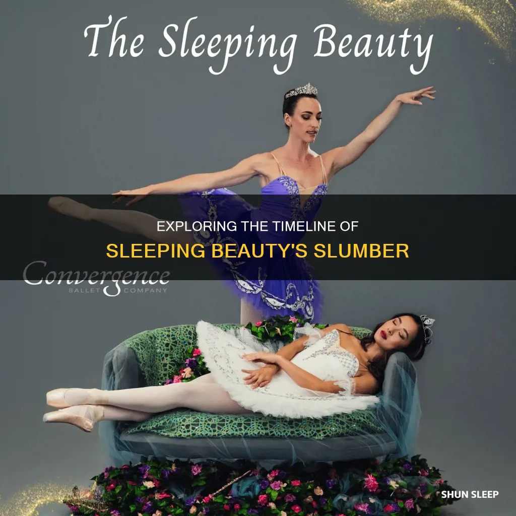 what time did sleeping beauty take place