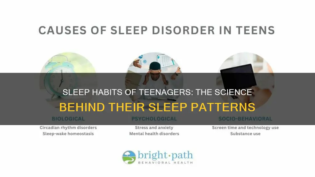 what time do 14 year olds sleep