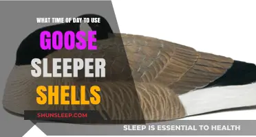 Goose Sleeper Shells: Best Time of Day to Hunt