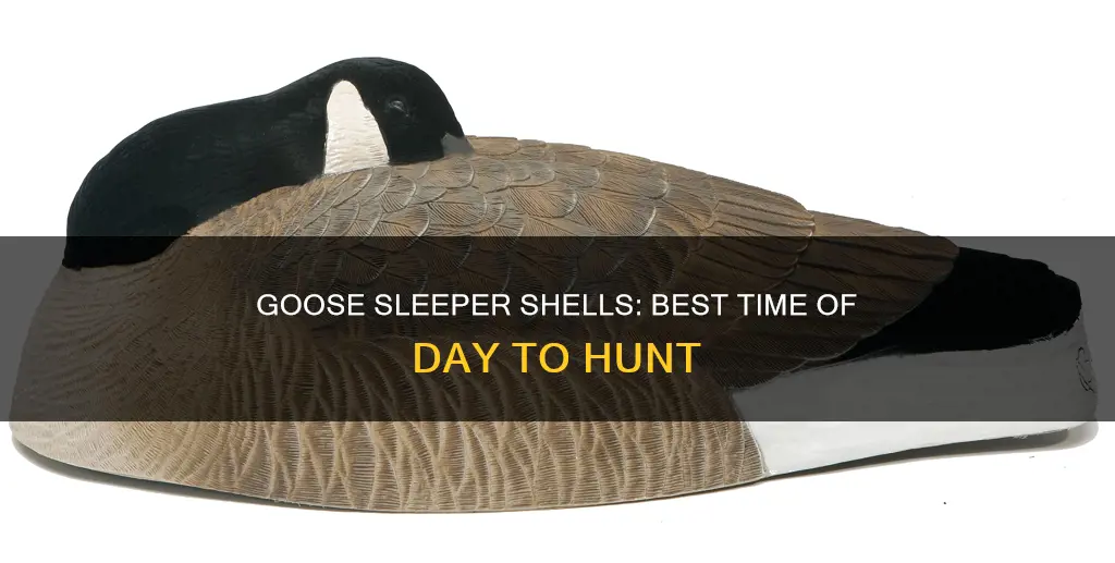 what time of day to use goose sleeper shells