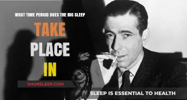 The Big Sleep: A 1930s Mystery