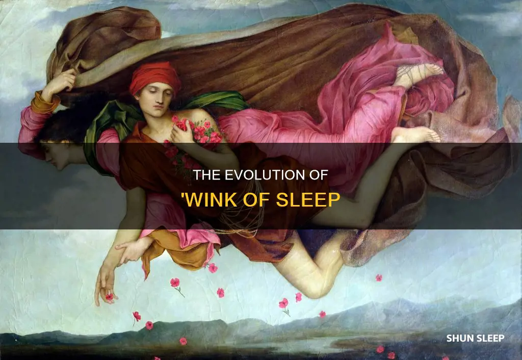 what time period was wink of sleep used