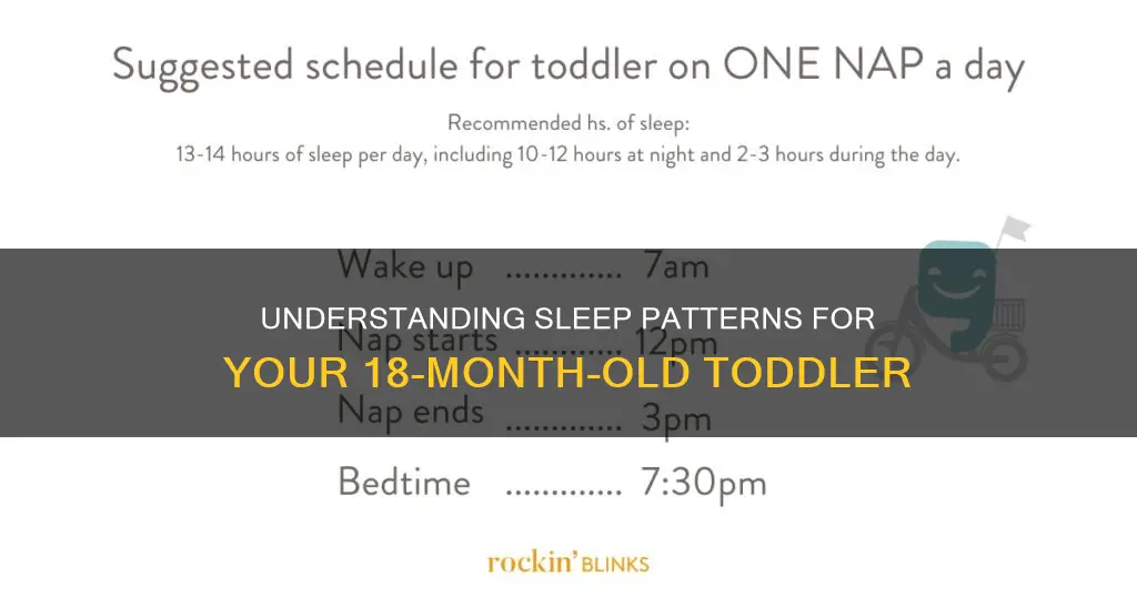 what time should 18 month old sleep