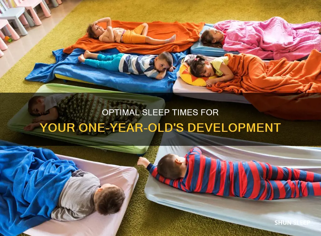 what time should a 1 year old sleep
