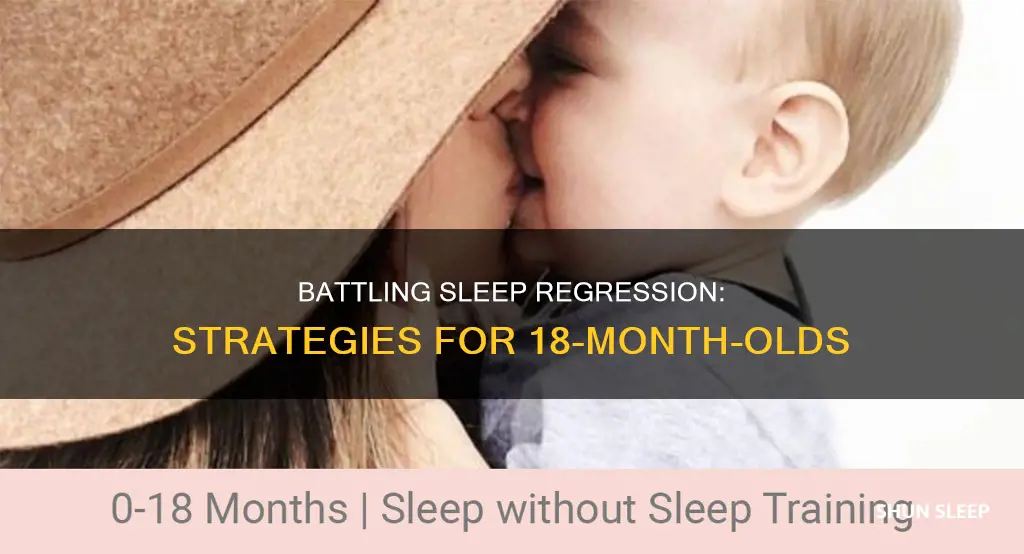 what to do about 18 month old sleep regression