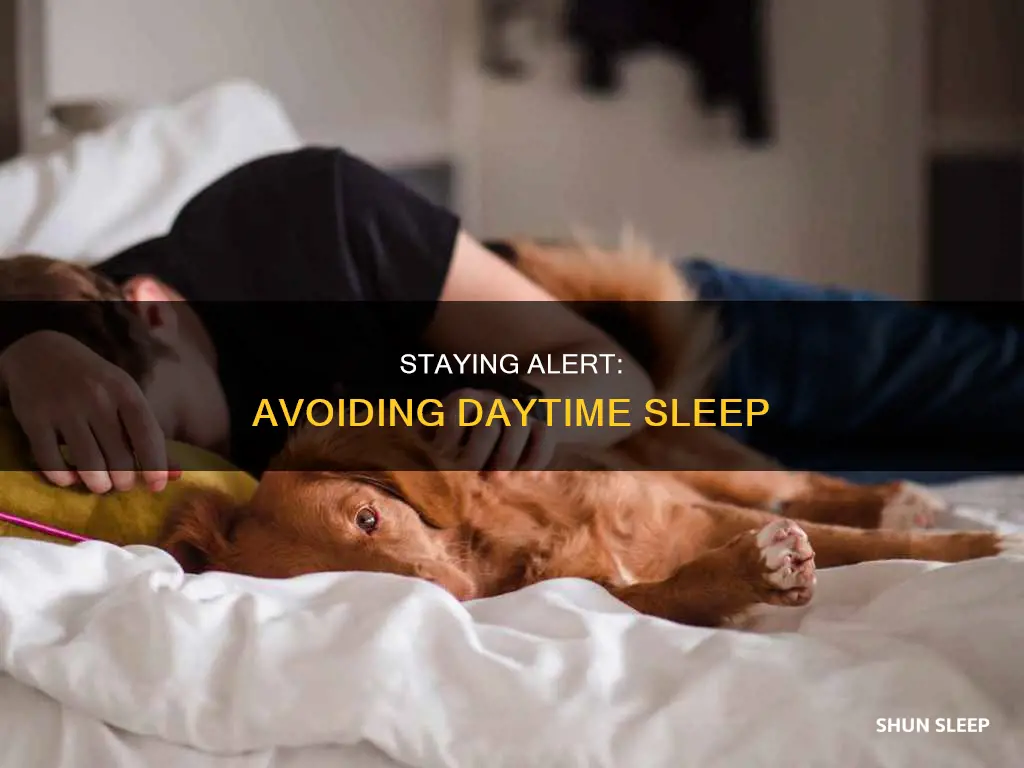 what to do to avoid sleeping during the day