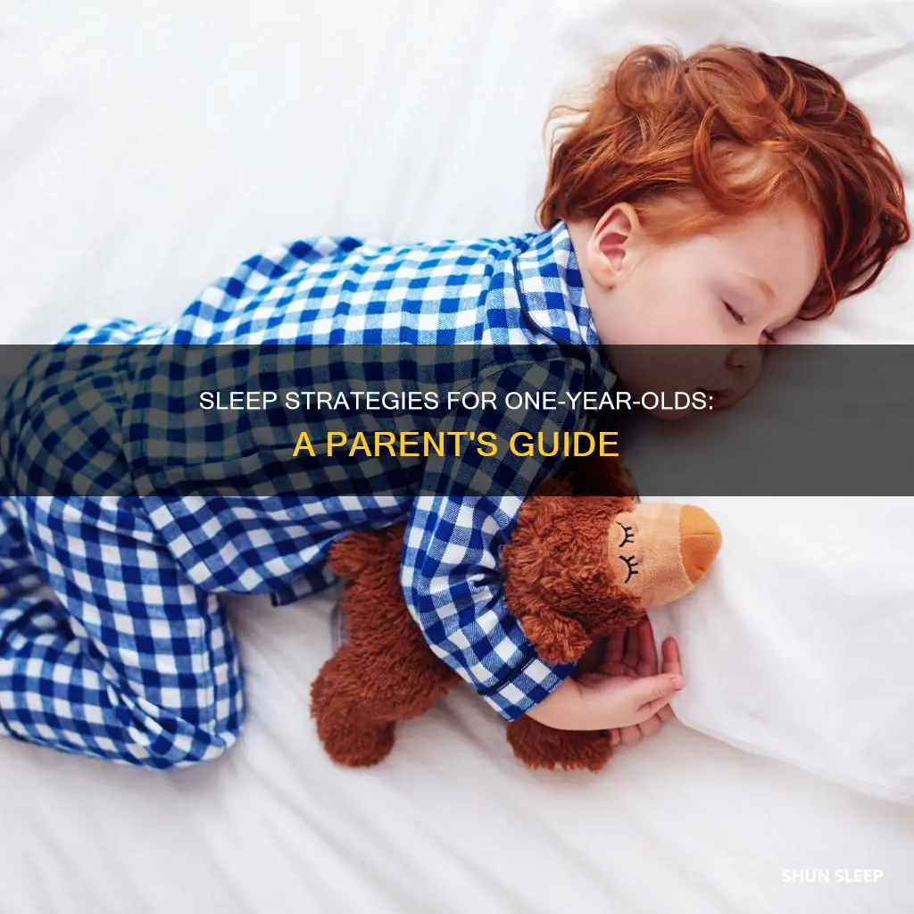 what to do when 1 year olds don
