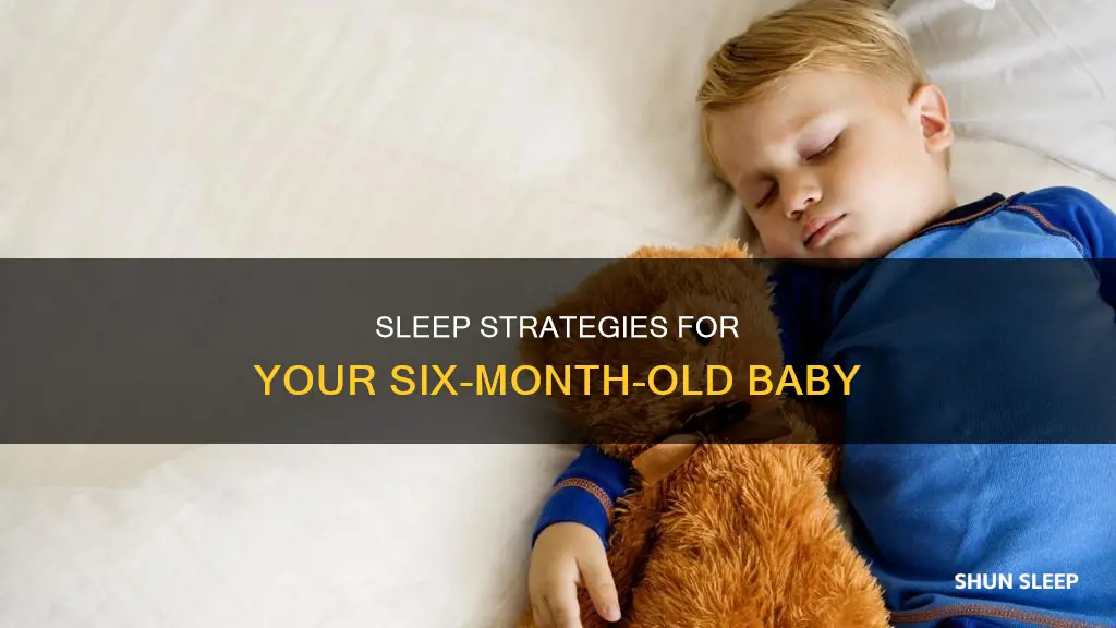 what to do when 6 month old won