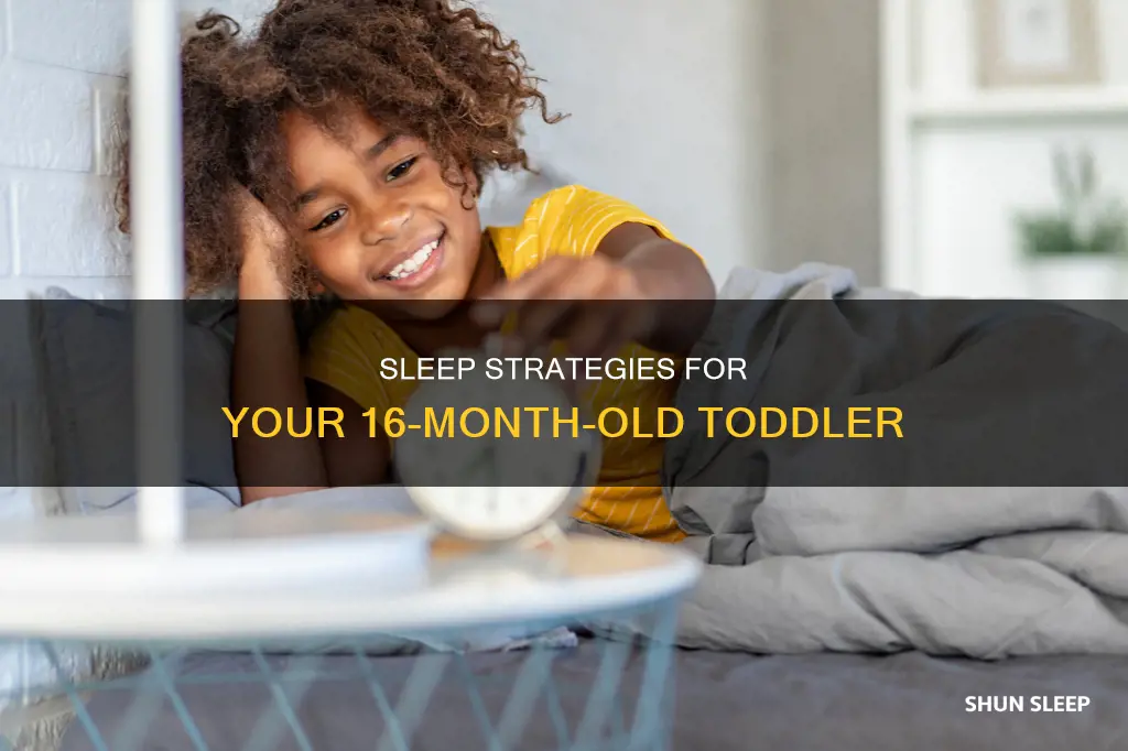 what to do when your 16 month old won