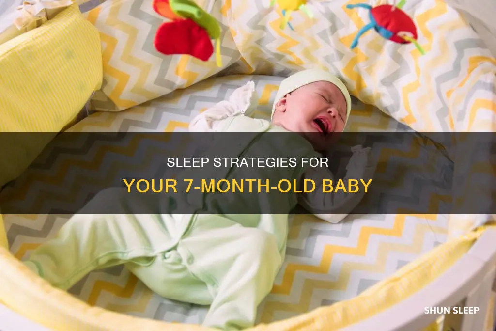 what to do when your 7 month old won