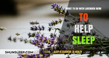 Lavender Herb Sleep Remedies: Relaxing Ways to Enhance Your Rest