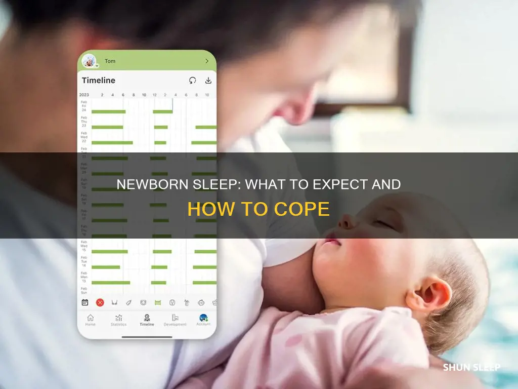 what to expect newborn sleep