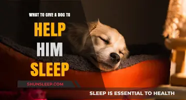 Natural Remedies and Tips to Help Your Dog Sleep Better