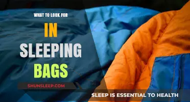 Sleeping Bags: Key Features to Look Out For