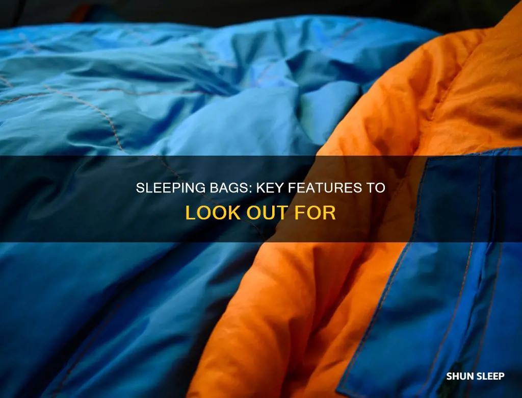 what to look for in sleeping bags