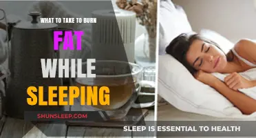 Fat-Burning Sleep: What to Take to Torch Calories Overnight
