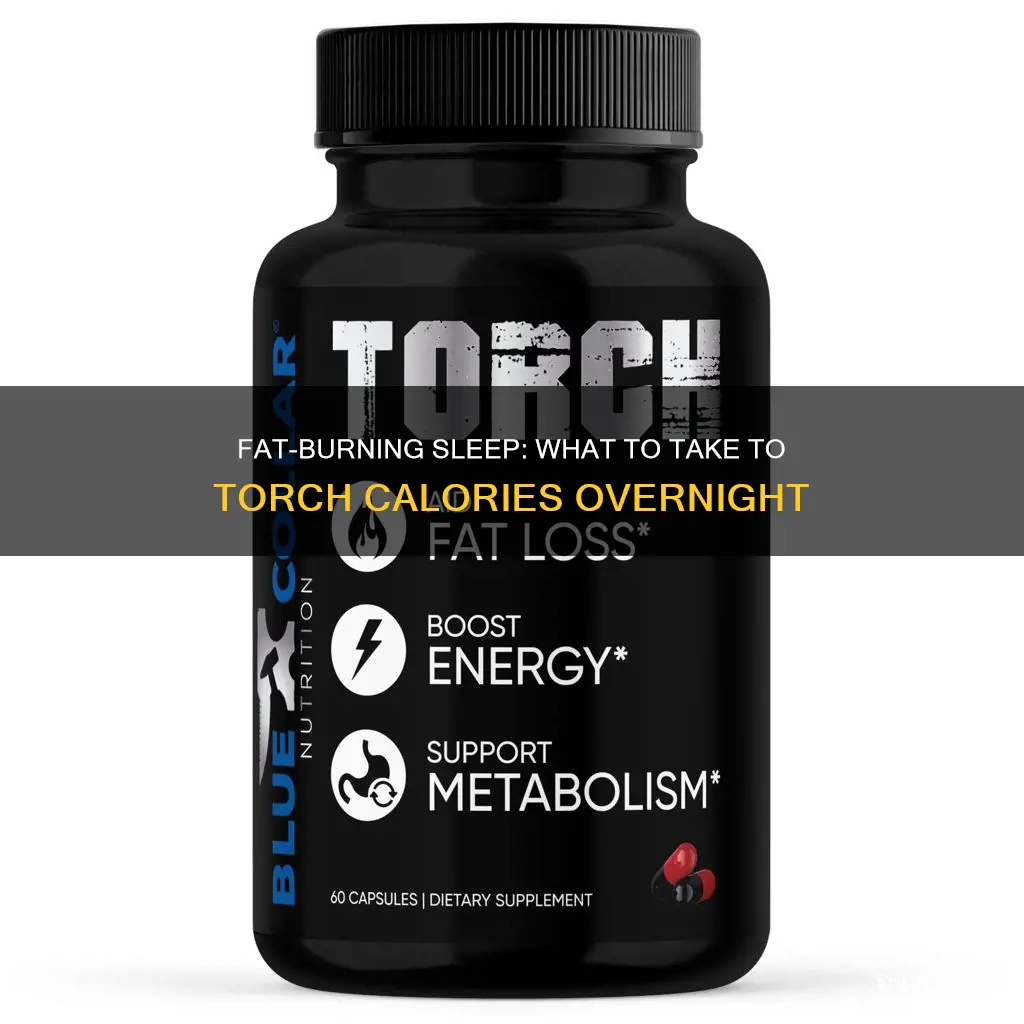 what to take to burn fat while sleeping