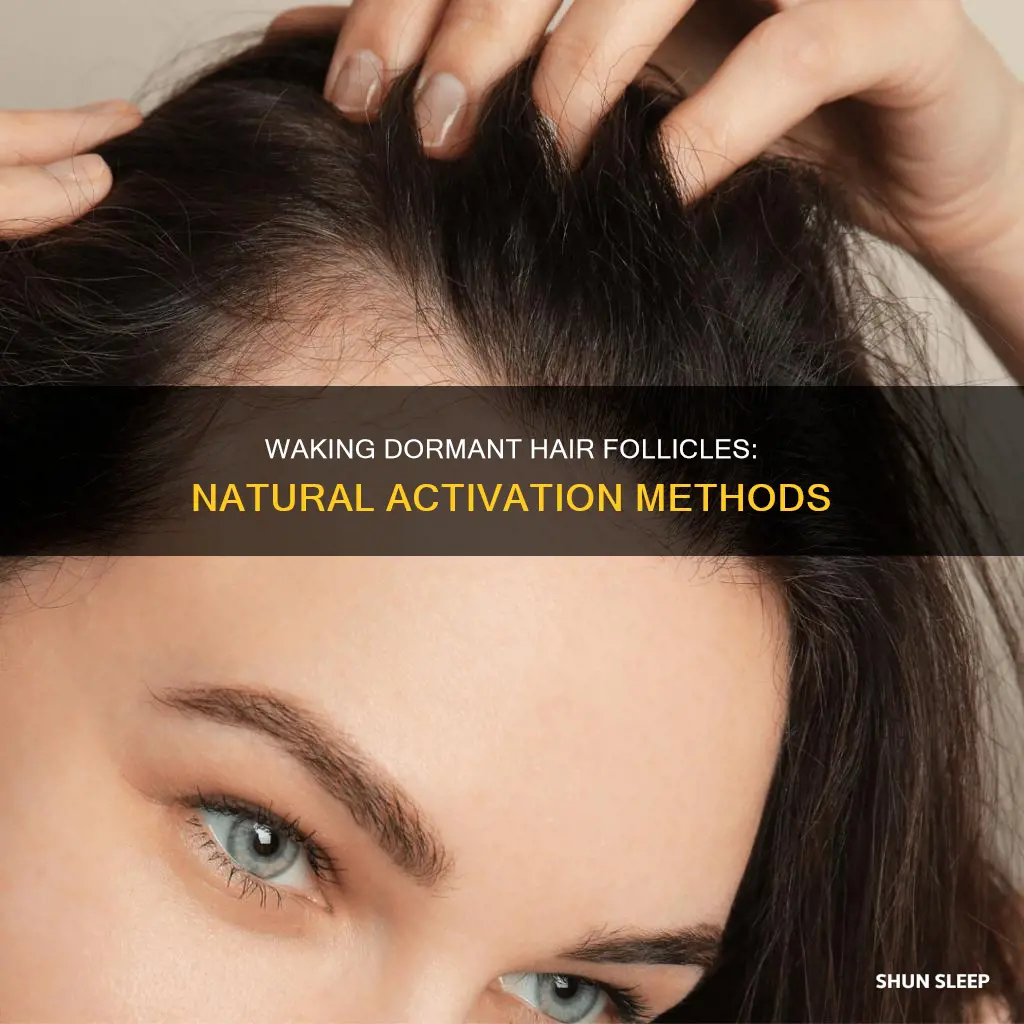 what to use to activate sleeping hair folicles