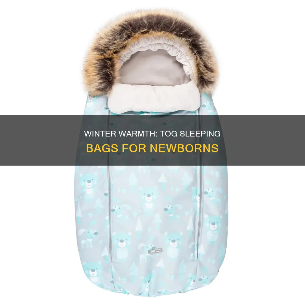 what tog sleeping bag for newborn in winter