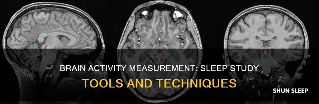 what tool is used to measure brain activity during sleep