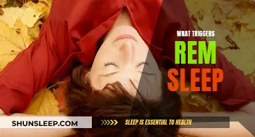 Understanding REM Sleep: Triggers and Brain Functions