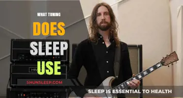 Sleep's Guitar Tuning Secrets: Drop D and Beyond