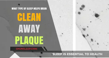 Deep Sleep's Role in Clearing Brain Plaque: A Health Guide