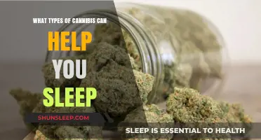 Best Cannabis Strains for Better Sleep: Types and Benefits