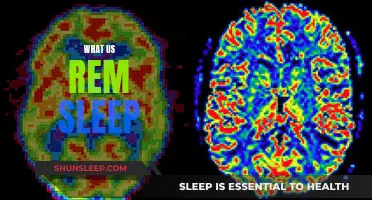 Understanding REM Sleep: The Science Behind Dreaming