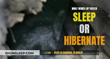 Hibernation vs. Sleep: Who Wakes Up Faster?