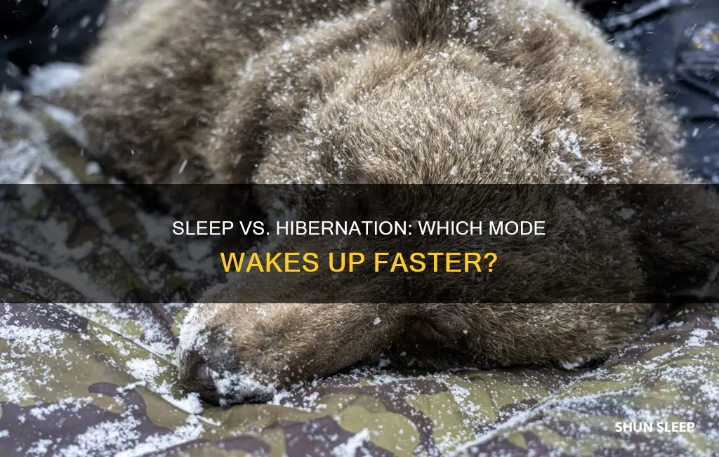 what wakes up faster sleep or hibernate
