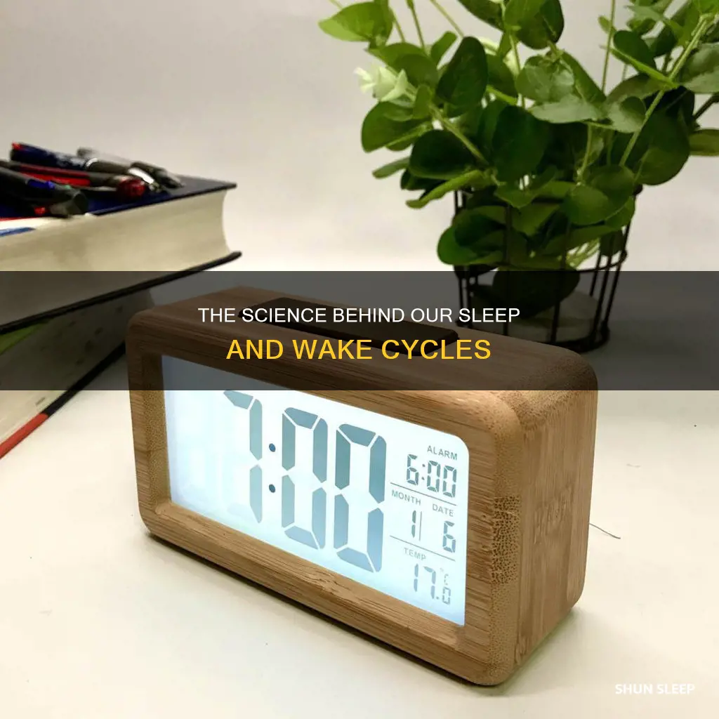 what wakes us up from sleep