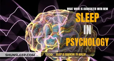 REM Sleep and Brain Waves: Understanding the Psychology