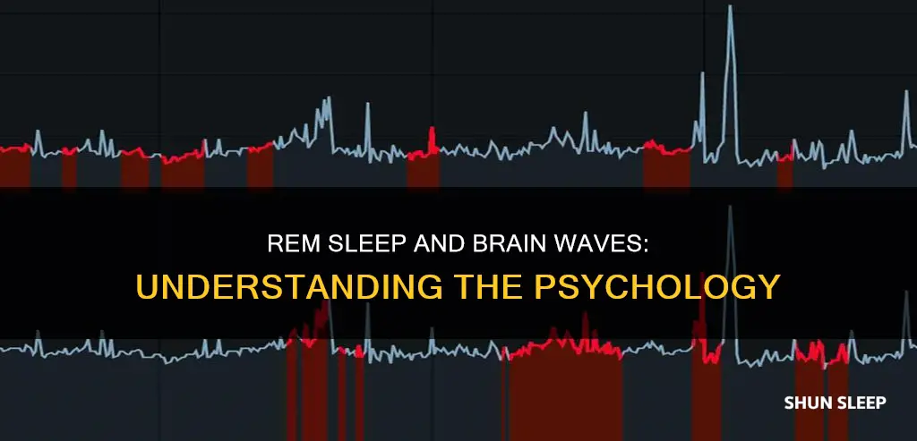 what wave is associated with rem sleep in psychology