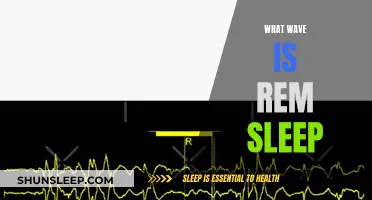 REM Sleep: Understanding the Brain's Waves