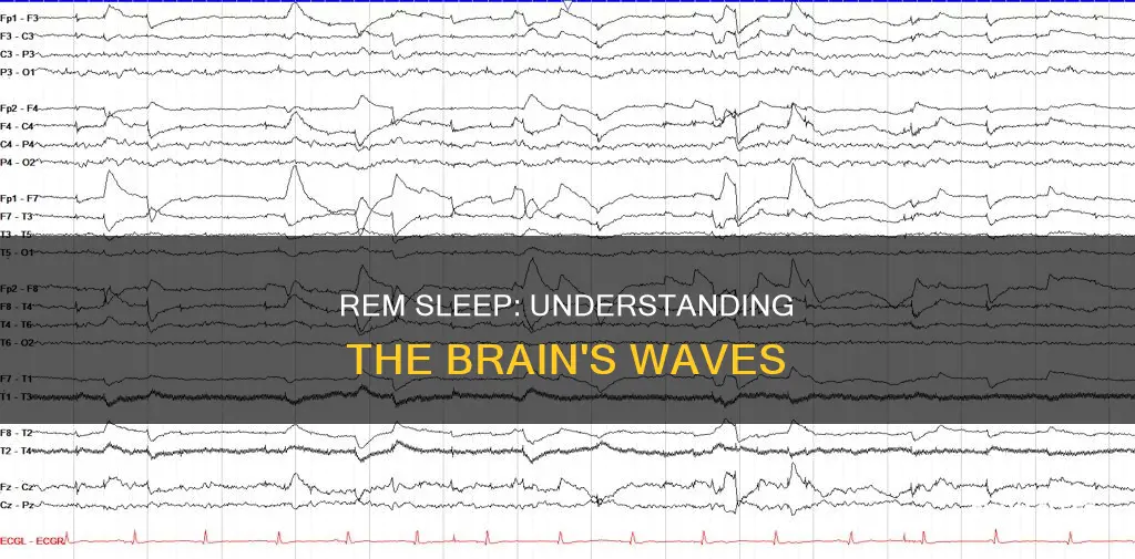 what wave is rem sleep