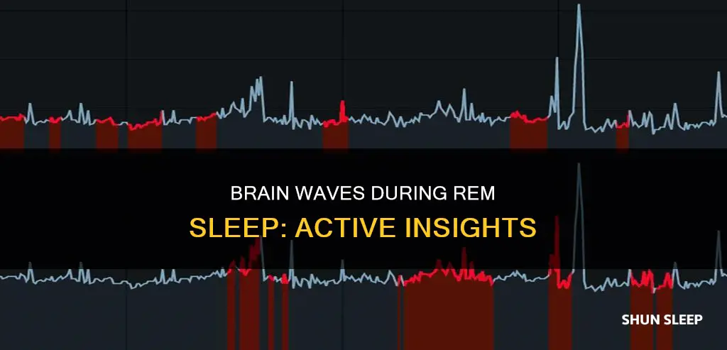 what waves are active during rem sleep