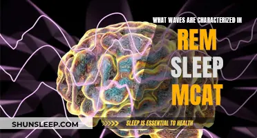 Understanding REM Sleep: Brain Waves and the MCAT