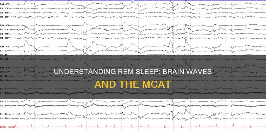 what waves are characterized in rem sleep mcat