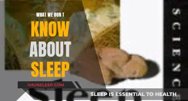 Sleep: Exploring the Unknowns